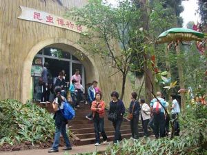 天台山昆蟲博物館 天台山昆蟲博物館