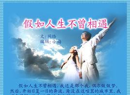 假如人生不曾相遇 假如人生不曾相遇