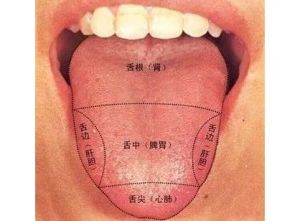 舌頭