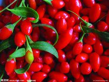 枸杞豆漿原料圖