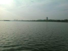 觀湖[觀湖·詩詞新調]