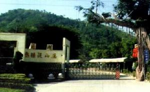 湯湖熱礦泥 湯湖熱礦泥