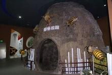 蜜蜂博物館