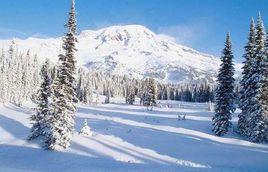 張家口塞北滑雪場 張家口塞北滑雪場