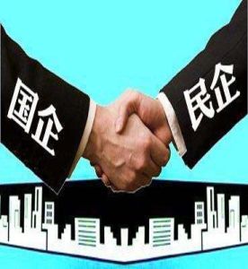 混合所有制 混合所有制