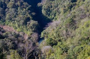 黃連山自然保護區 黃連山自然保護區