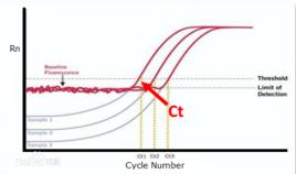 循環閾值 循環閾值