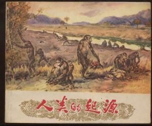 人類起源 人類起源
