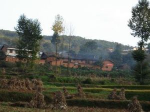 里可一組 里可一組