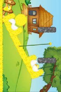 孵化雞蛋 孵化雞蛋