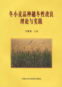 冬小麥品種越冬性改良理論與實踐