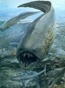 希氏根齒魚 希氏根齒魚