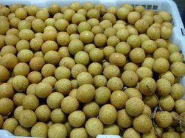 泰國進口龍眼 泰國進口龍眼