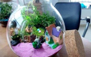 微世界鮮活景觀DIY