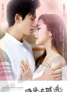 時光之城[2016年陳家霖執導電視劇]