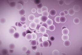 神經因子 神經因子