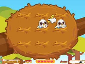 給麻雀寶寶餵食