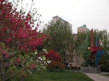 鄭州市回民中學