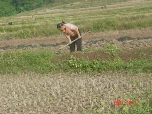 勐溪四五村 勐溪四五村