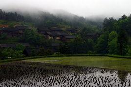 白坡苗寨 白坡苗寨