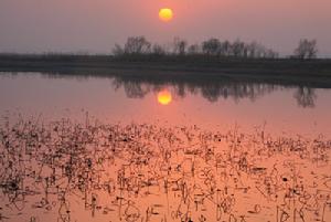 蓮花湖濕地