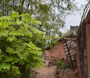 民主鄉[重慶市南川區民主鄉]