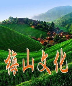 梅山文化 梅山文化