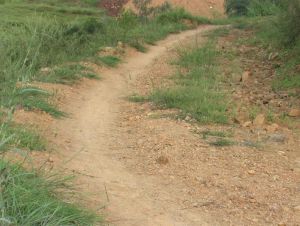 墳上村[鍾英鄉皮廠行政村]