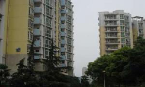 東方恆星園 東方恆星園