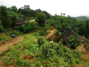 路南新寨村 路南新寨村