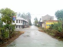 九成畈的風景圖片