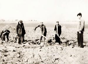 1963年11月12日 1963年11月12日