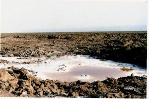 新疆鹽湖風景區 新疆鹽湖風景區