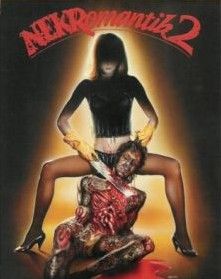 《困惑的浪漫》