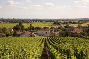 法國翡馬酒莊集團