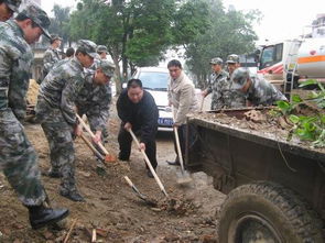 屯裡社區 屯裡社區