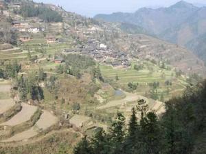 面板凳村 面板凳村