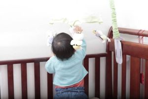 小小的幸福 小小的幸福