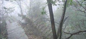 古鶴石板路 古鶴石板路