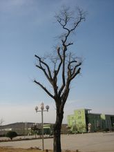 青島理工大學費縣校區一瞥