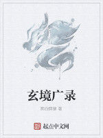 玄境廣錄 玄境廣錄