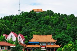 化鳳山公園 化鳳山公園