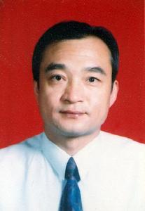 賈平[安徽企業家]