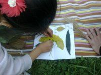 自然學校 自然學校