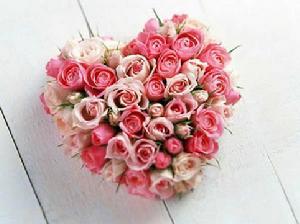 熱戀感覺如玫瑰花醉人芬芳