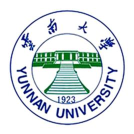 雲南大學發展研究院