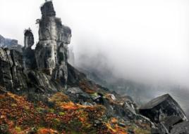 貴州思南四野屯省級自然保護區 貴州思南四野屯省級自然保護區