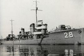 樅型驅逐艦 樅型驅逐艦