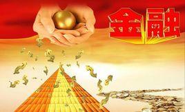 中華人民共和國國務院辦公廳金融事務局 中華人民共和國國務院辦公廳金融事務局