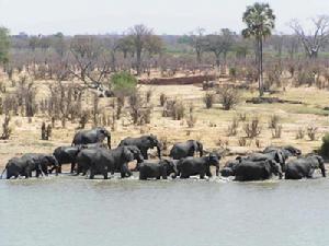 南非普馬蘭加省
